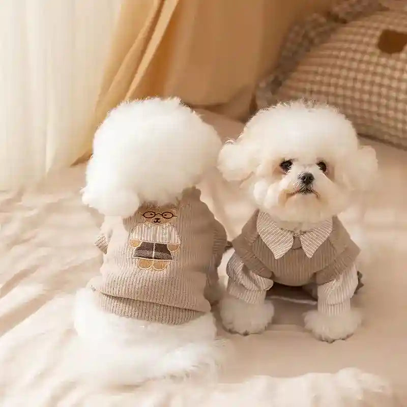 Maglione Preppy Stratificato per Cani - Elegante Velluto by Dog Moda