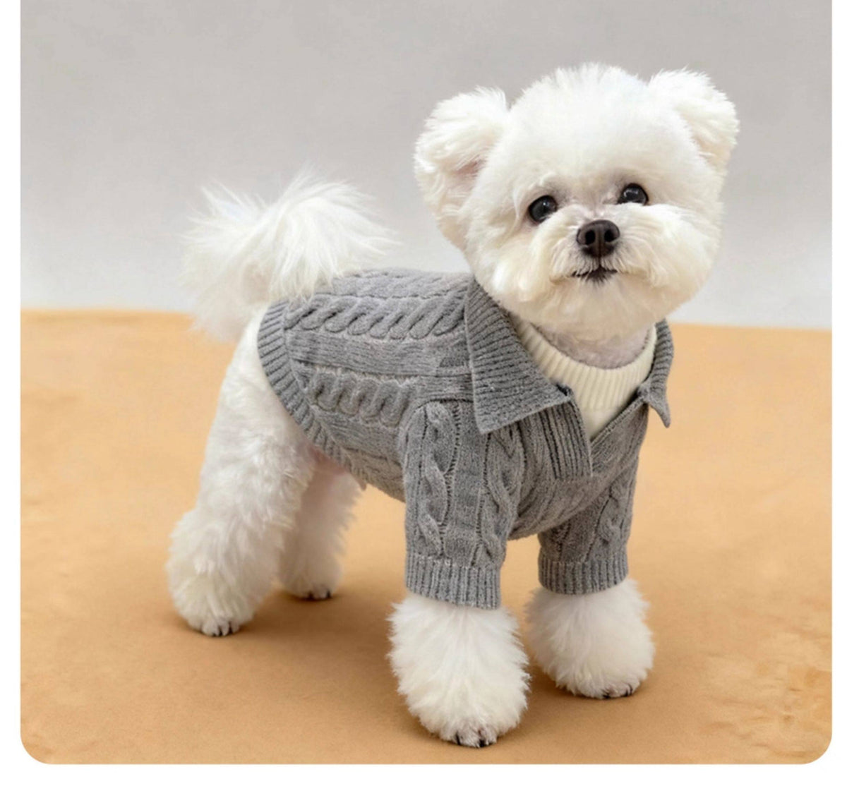 Maglione Cane Gatto Effetto Due Pezzi Autunno Inverno by Dog Moda