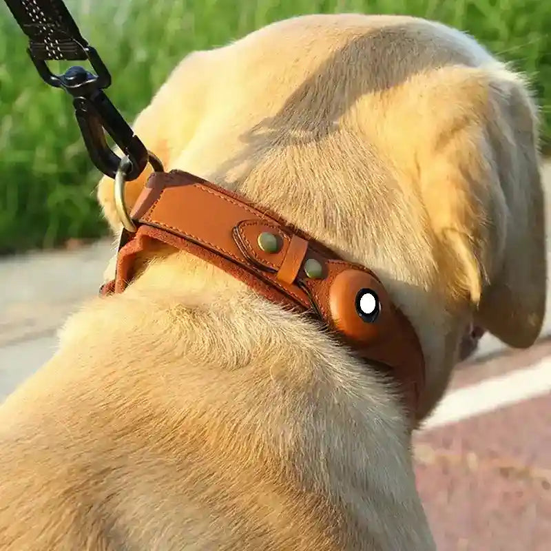 Collare in Pelle con Alloggio Apple AirTag per Cani e Gatti by Dog Moda