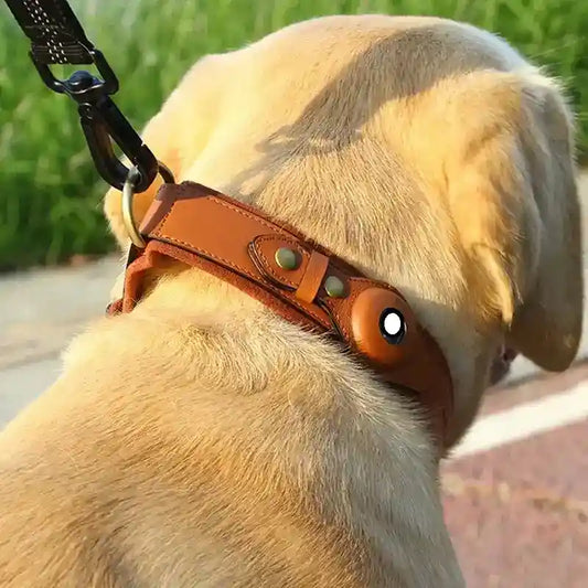 Collare in Pelle con Alloggio Apple AirTag per Cani e Gatti by Dog Moda