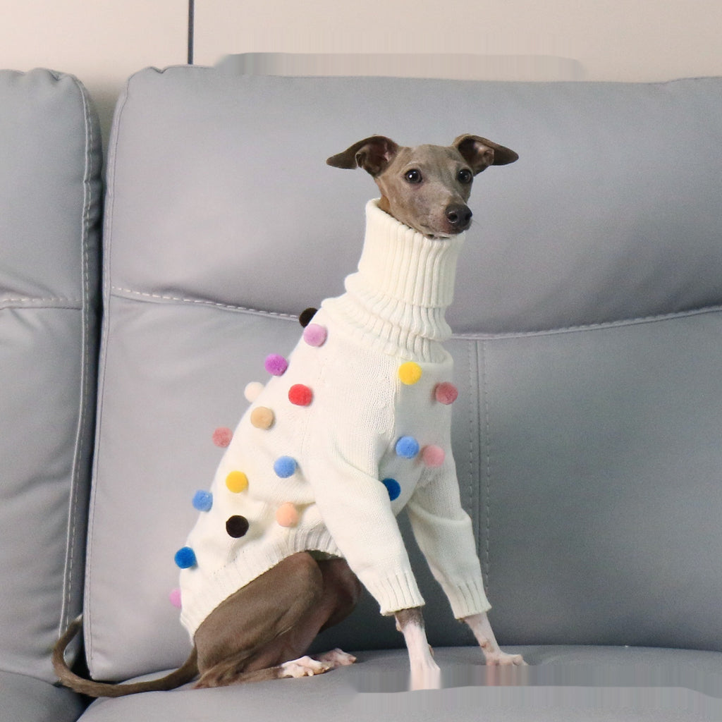 Maglione per Cani Arlecchino Bianco con Pon Pon Colorati