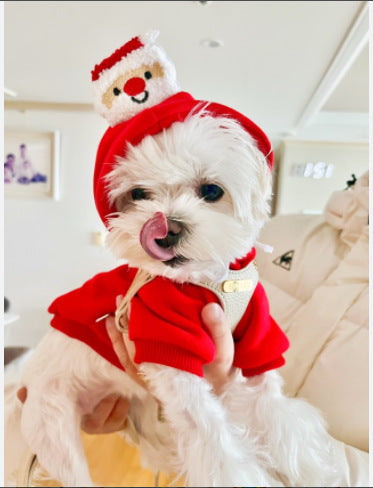 Vestito Natale per Cani con Cappuccio | Babbo Natale e Albero