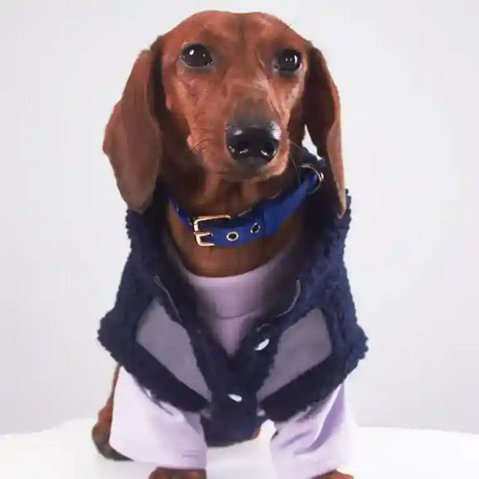 Cappotto Cani Bassotto Waffle Pile Lungo Smanicato by Dog Moda