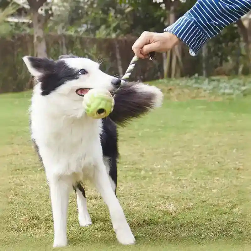 Gioco Corda Pallina Gomma Cani - Tiro Fune Interattivo by Dog Moda