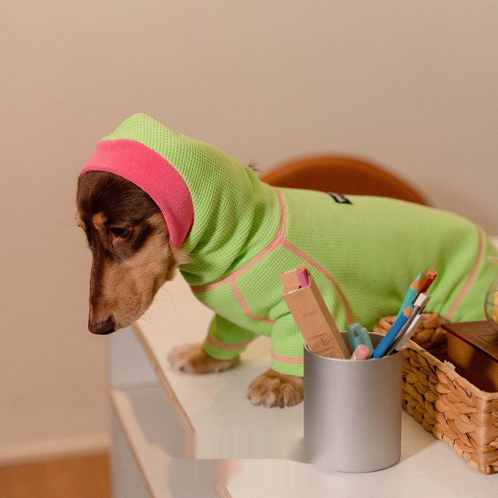 Dachshund Hoodie - Stretch