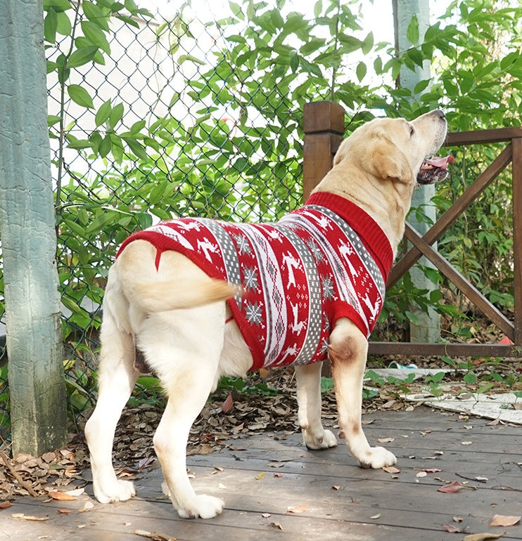 Großer Hundepullover „Lulu“ – warm, bequem und lässig
