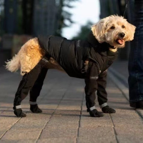 Waterproof Dog Shoes with Elastic Strap and Reflective Details