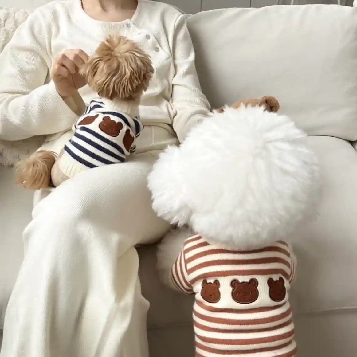 Maglione per Cani e Gatti con Orsetti - Bianco Righe by Dog Moda