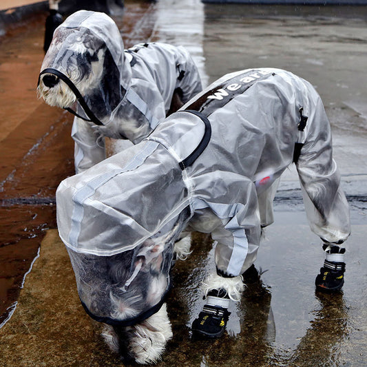 Impermeabile Trasparente con Visiera per Cani - Protezione Totale