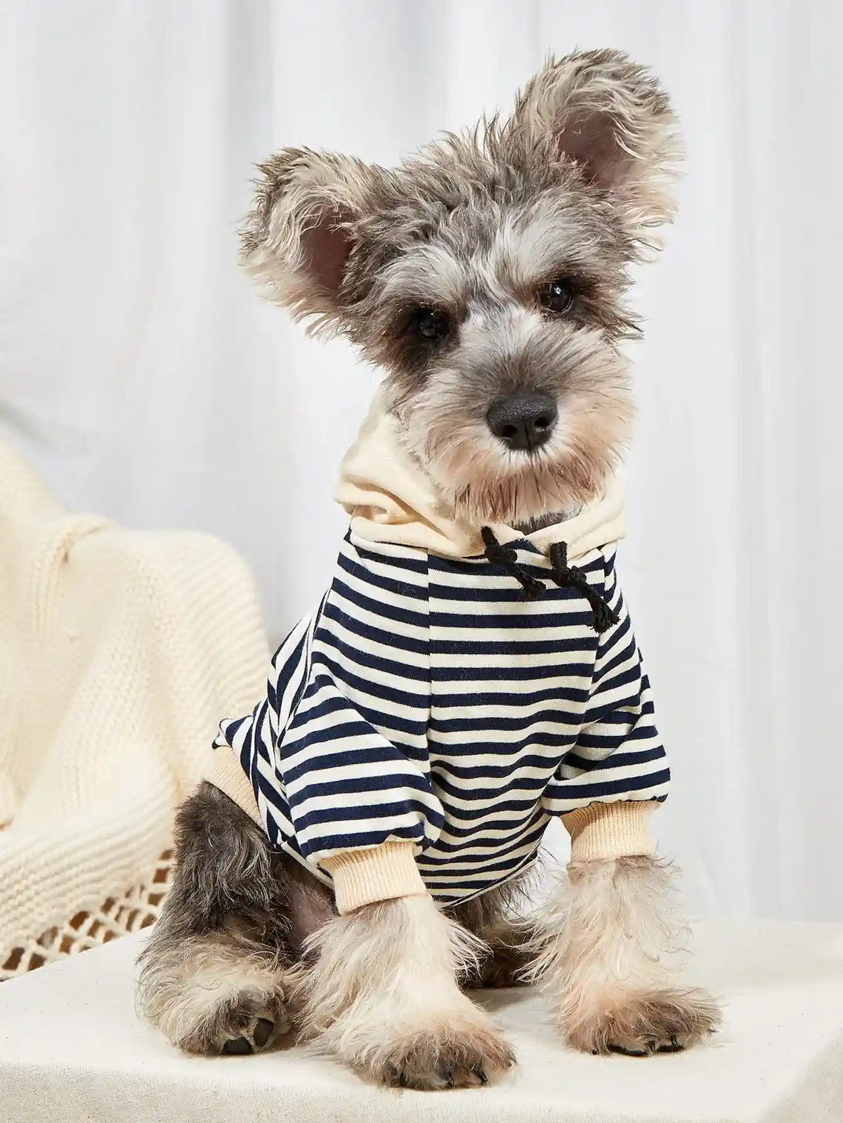 Maglione Cani Gatti Righe Cappuccio - Caldo e Trendy by Dog Moda