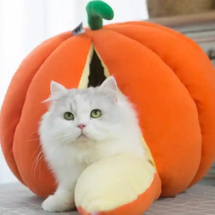 Pumpkin Cave Cat House - Warm and Enclosed