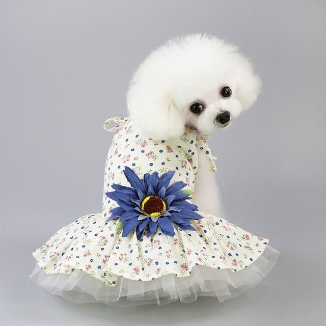 "Cute" Female Puppy Dress 