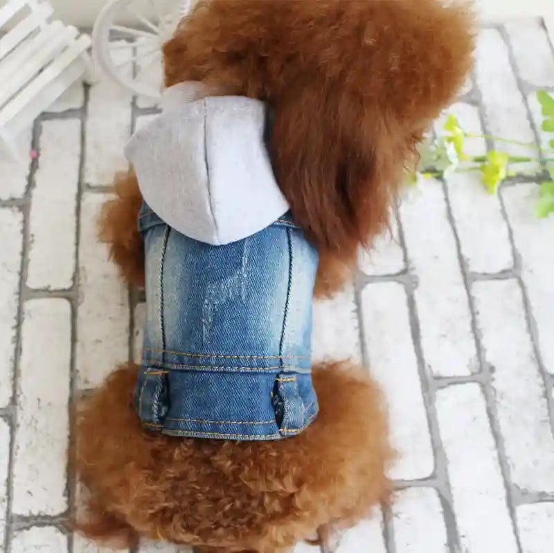 Giacca Jeans per Cani - Cappotto Denim Impermeabile by Dog Moda