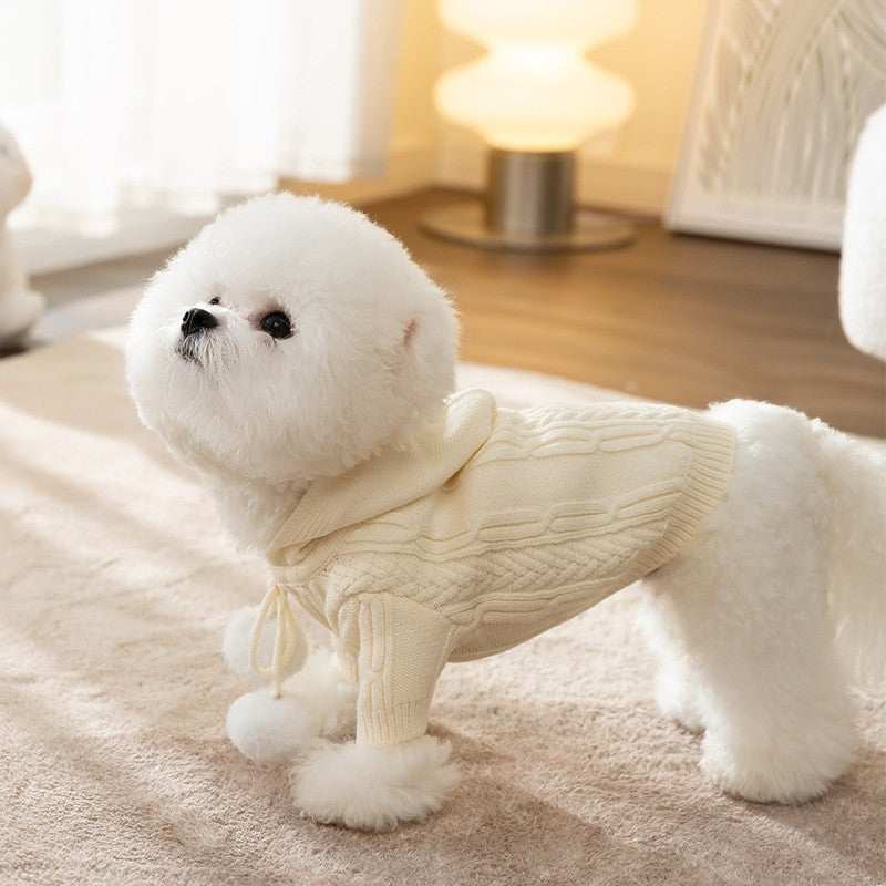 Dog sweater "Paradise" in bright patterns for little friends