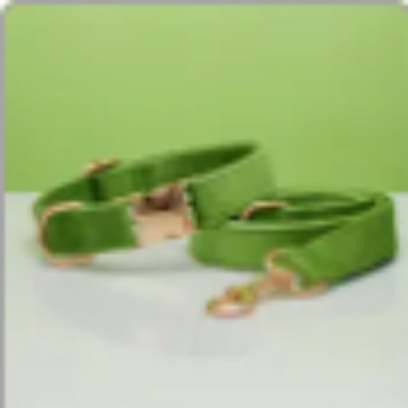 Personalisiertes Hundehalsband mit Namen und Nummer – Weicher Stoff