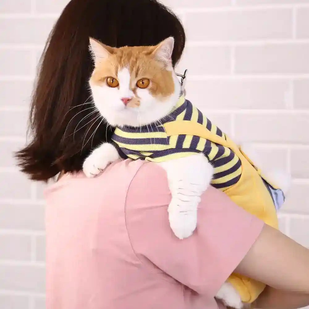 Tutina Salopette Gatti a Righe con Tasca - 6 Taglie by Dog Moda