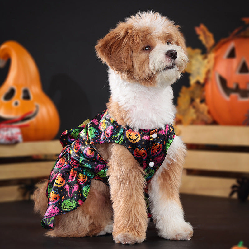 Spaventosamente Chic: Il Vestitino di Halloween per Cani