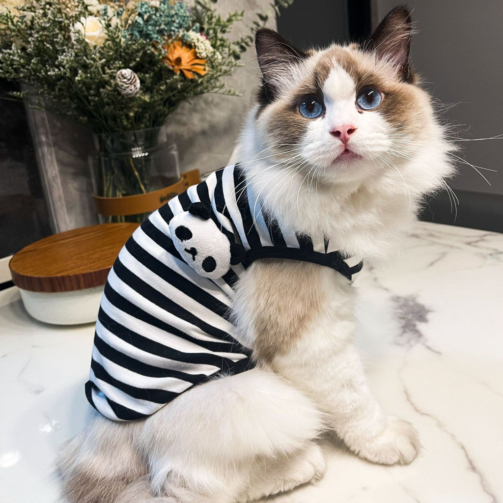 Cotton Cat Sweater Striped Panda or Frog | DogModa