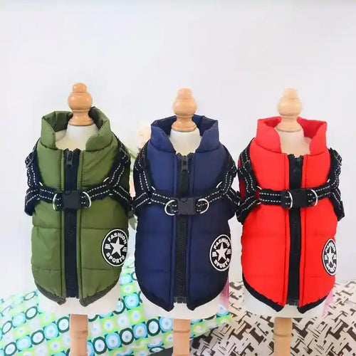 Cappotto Invernale per Cani Hall Star | Imbottito e Impermeabile by Dog Moda