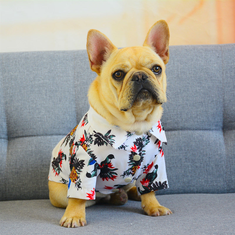 "Cosmopolitan" Dog and Bulldog Dress