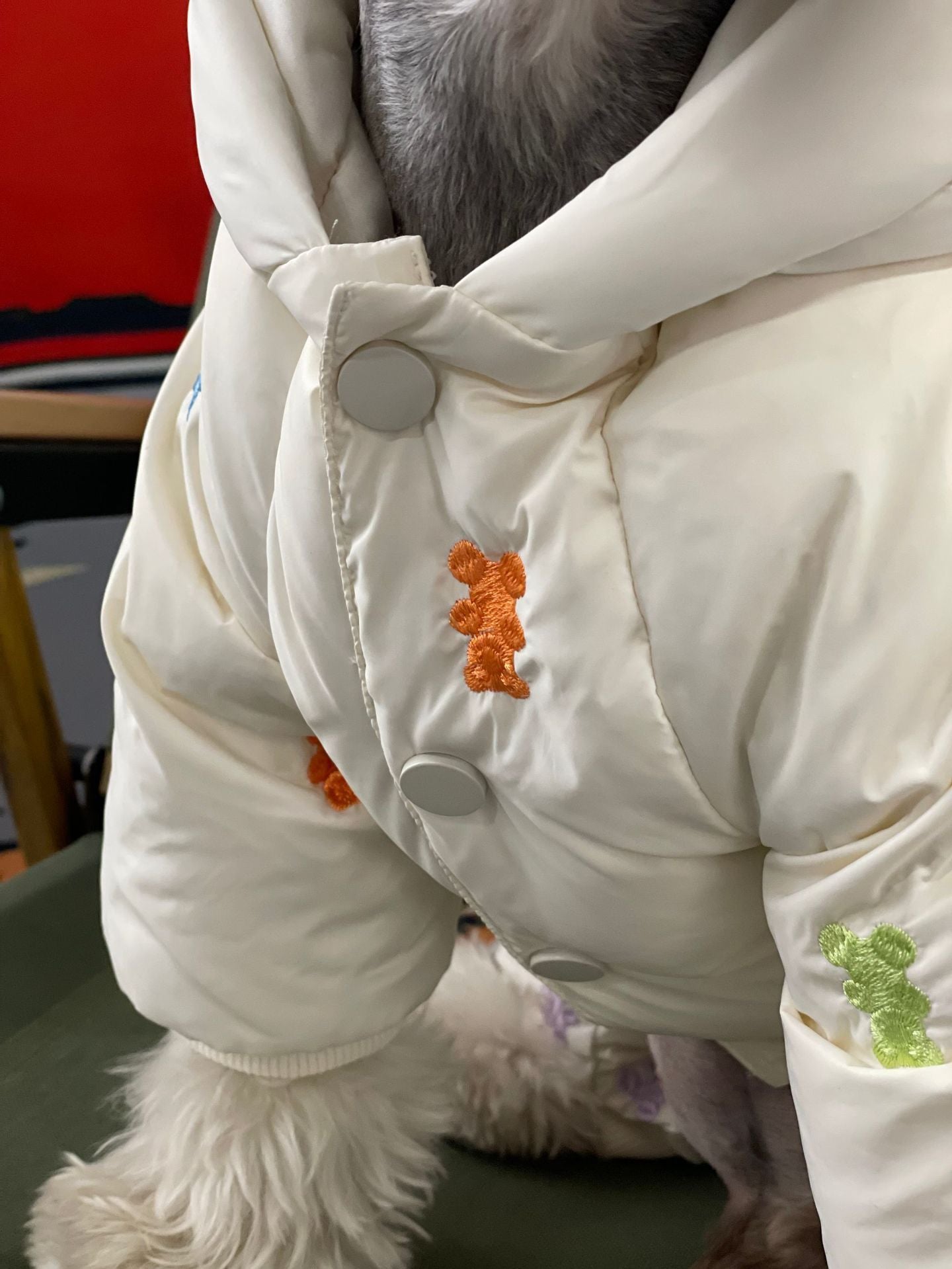 Piumino per Cani - Modello Teddy - Dog Moda