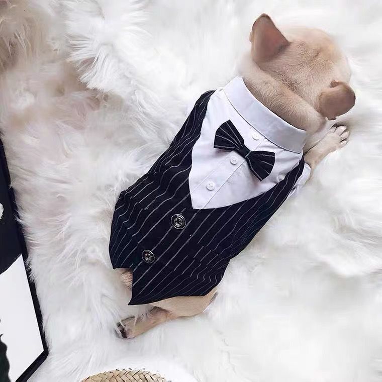 Elegant Dog Formal Dress with Bow Tie