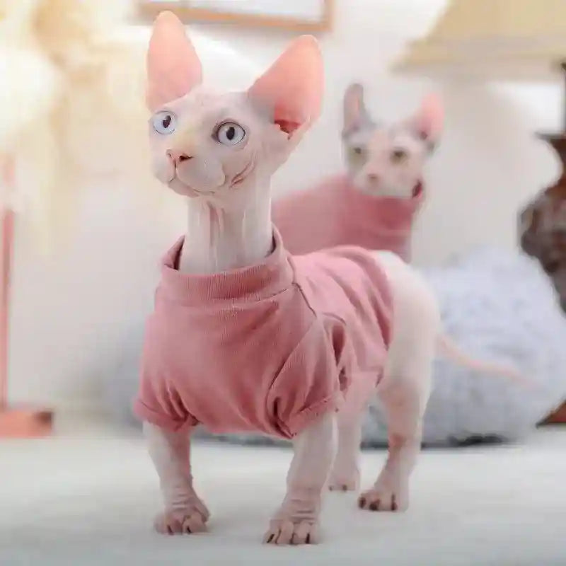 Maglia per Gatti Sphynx Invernale - Dralon Elasticizzato e Morbido by Dog Moda