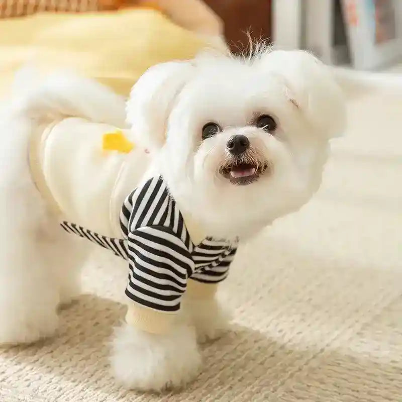 Maglia Righe Cani Couturier - Salopette Paperino by Dog Moda