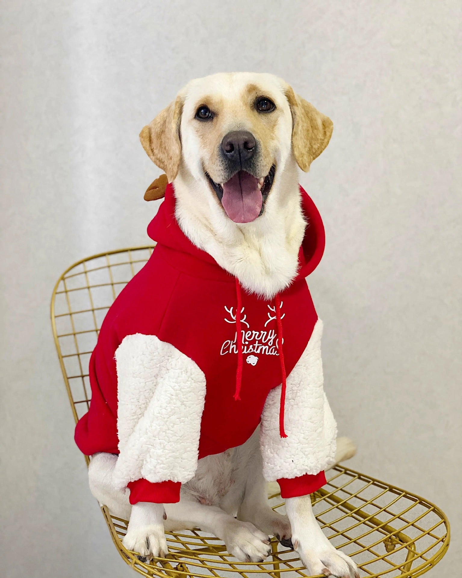 Sudadera Navideña para Perro y Gato Merry Christmas con Reno y Capucha