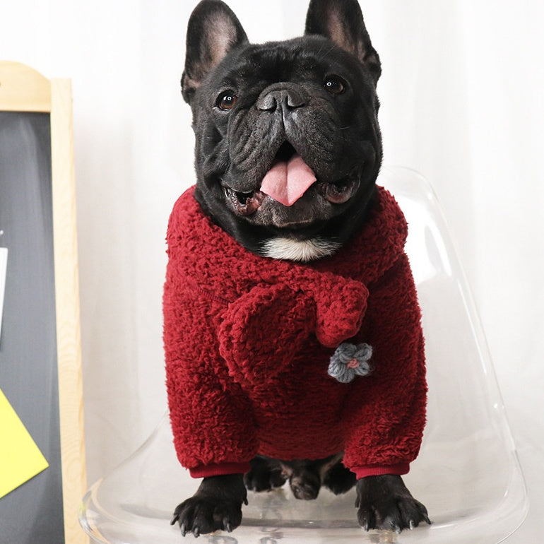 Maglia Pile Coccola d'Autunno - Speciale Bulldog Inglese - Dog Moda