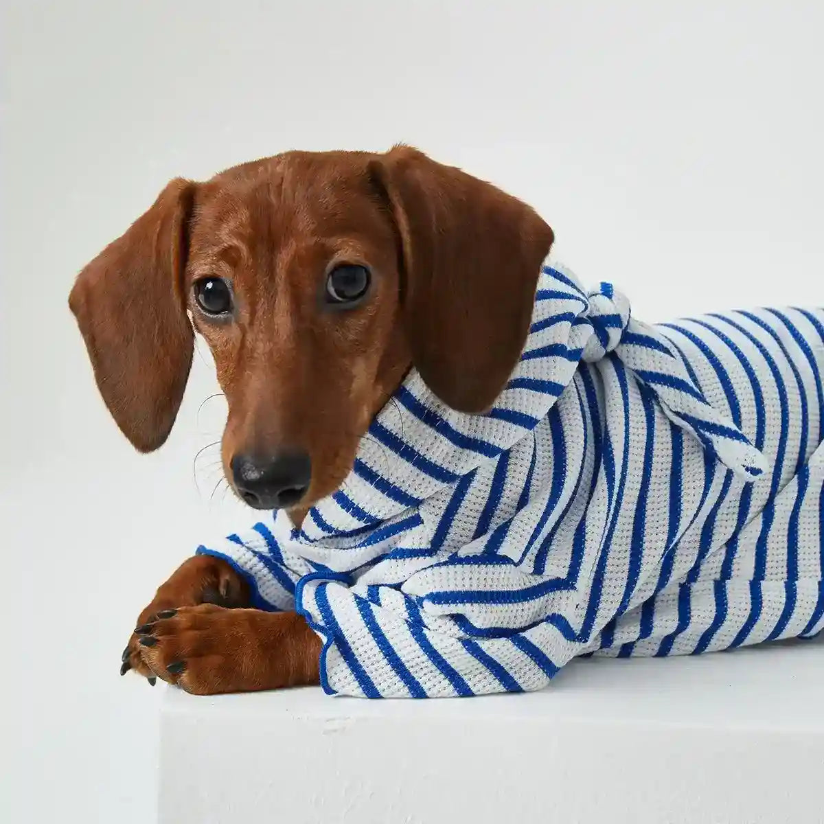Maglia con Cappuccio per Cani e Gatti - Righe Rosse e Blu Traspirante by Dog Moda
