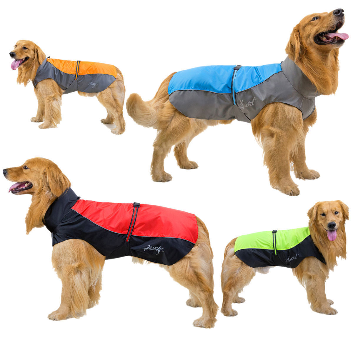 Raincoat for large dogs "Kalm Husky" with safe closure
