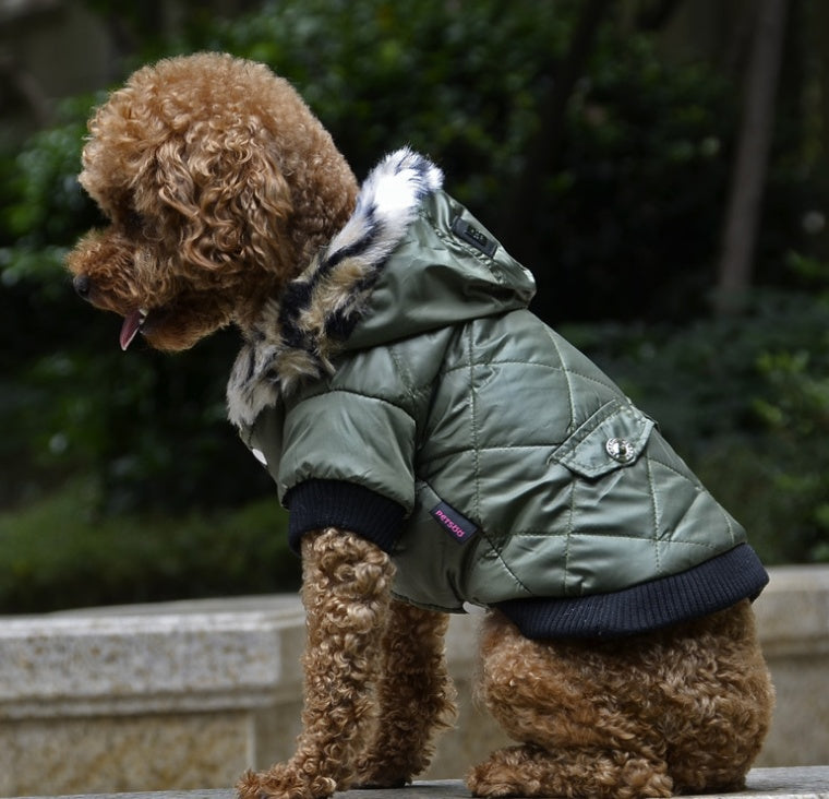 Cappotto per cani con cappuccio in ecopelliccia, elegante e caldo, ideale per razze come barboncini e cani di piccola taglia.