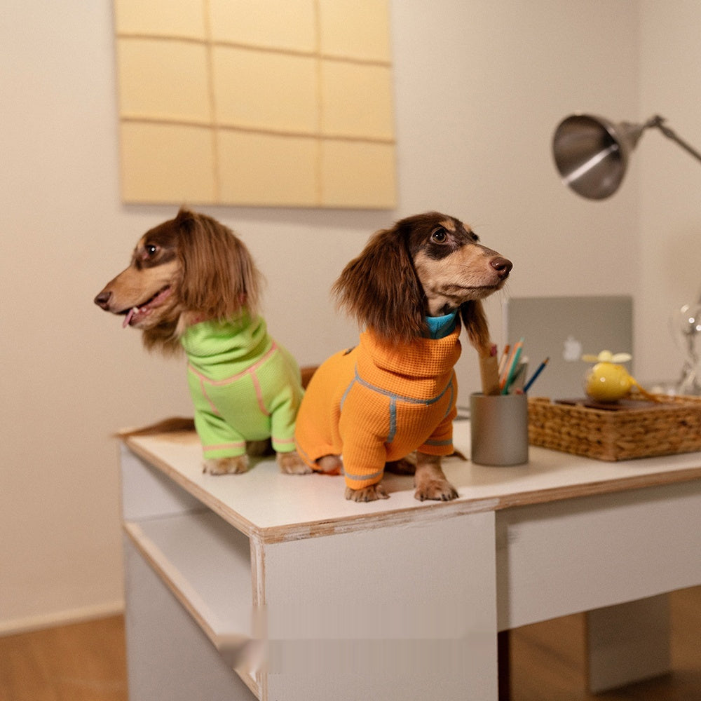 Dachshund Hoodie - Stretch