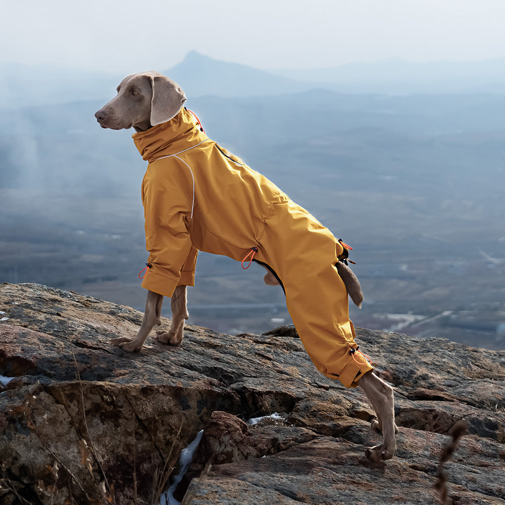 Impermeabile 4 Zampe VPetrr per Cani Taglia Grande | Antipioggia