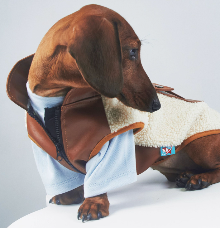 Cappotto Bassotto Cashmere Pile Agnello con Zip Torace