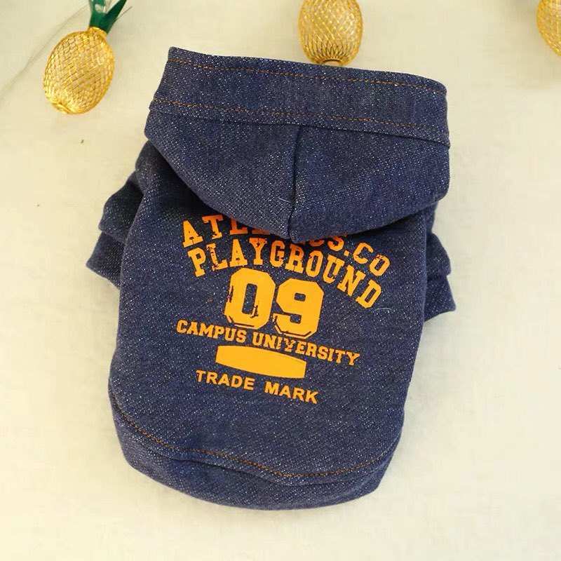 Campus University Dog Hoodie