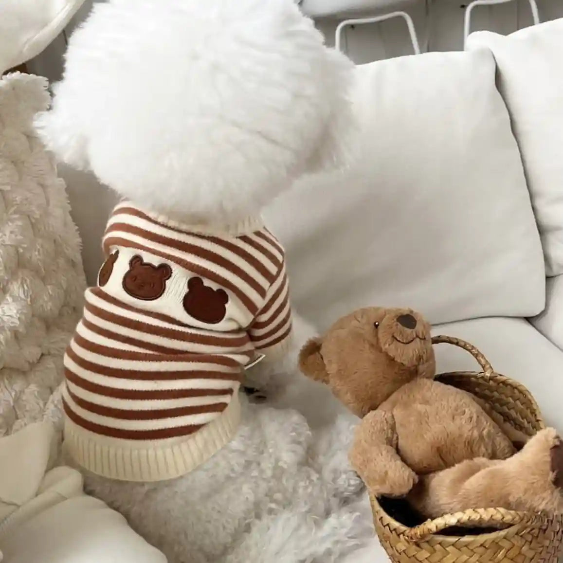 Tröja för hundar och katter med björnar - Vit randig