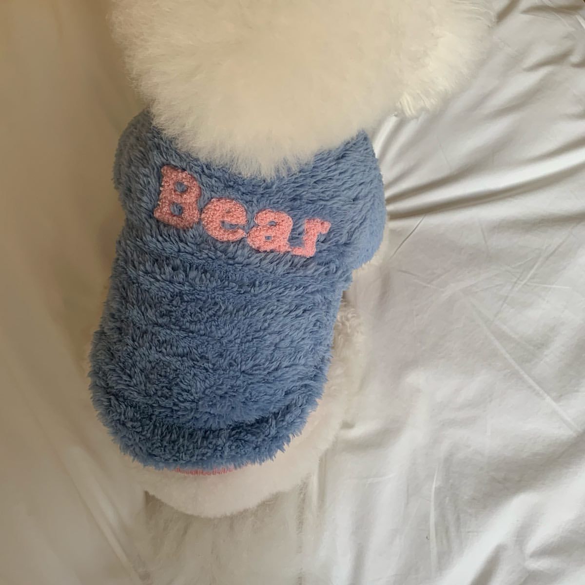 Vestito per Cani Bear in Pile Morbido | Dogmoda