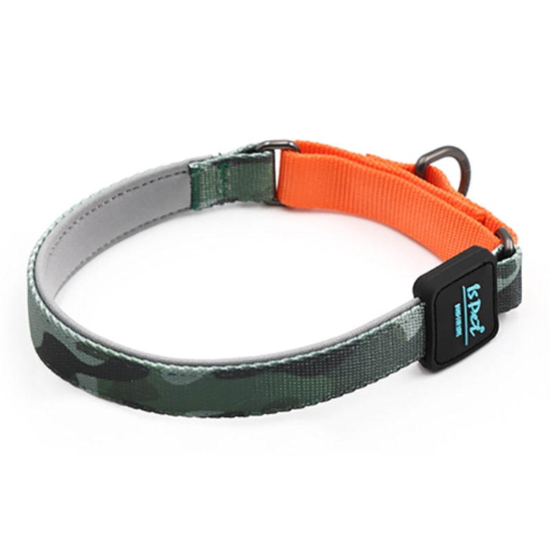 Collare Cane con Catena in Poliestere Resistente