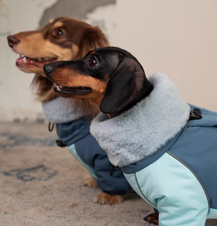 4-Legged Dachshund Padded Coat - High Fleece Collar
