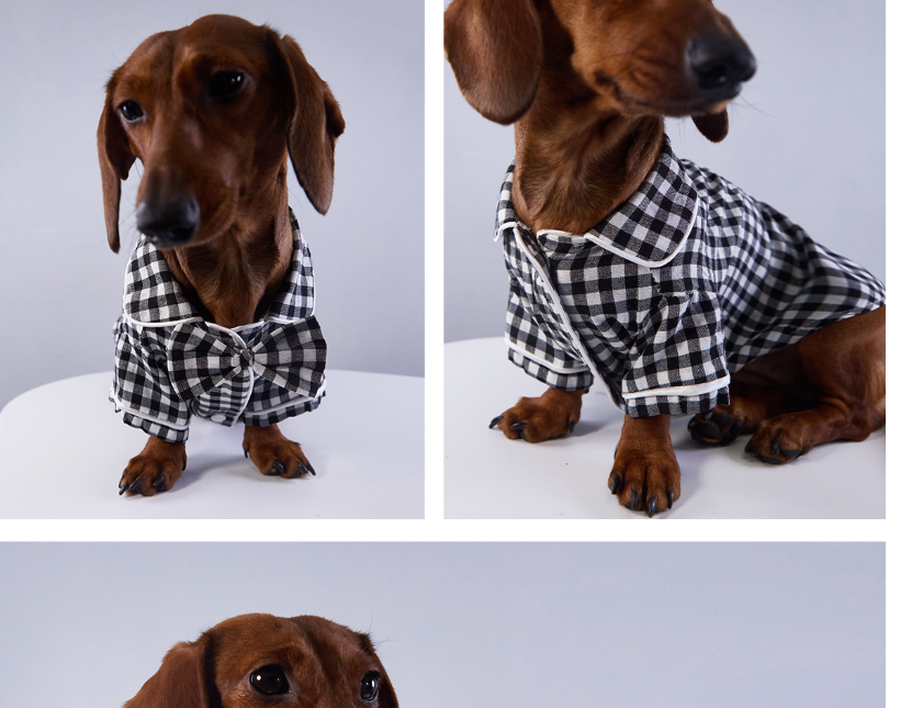 Pigiama Cozy Dreams per Cani - A Quadretti con Chiusura by Dog Moda