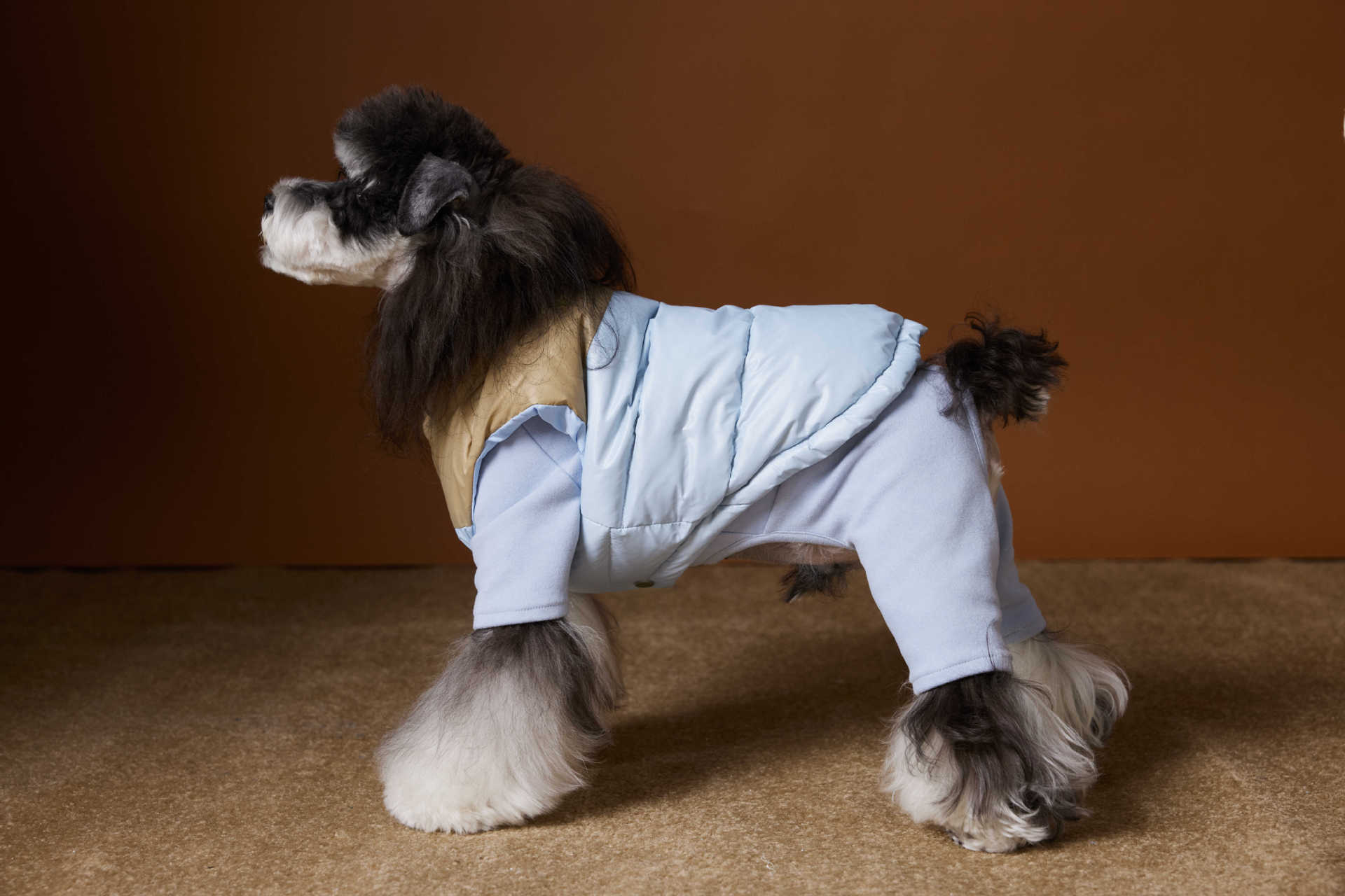 Cappotto Cane Imbottito Tawney Bear - Gilet Invernale