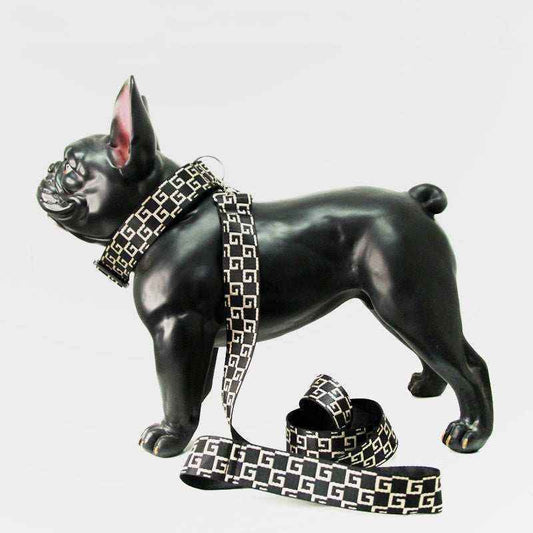 Set Pettorina Collare Guinzaglio Cane - Graise Sicuro by Dog Moda