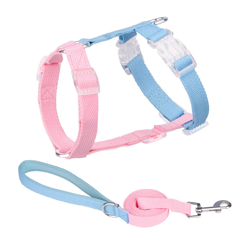H "Color Rainbow" Leash and Harness Set