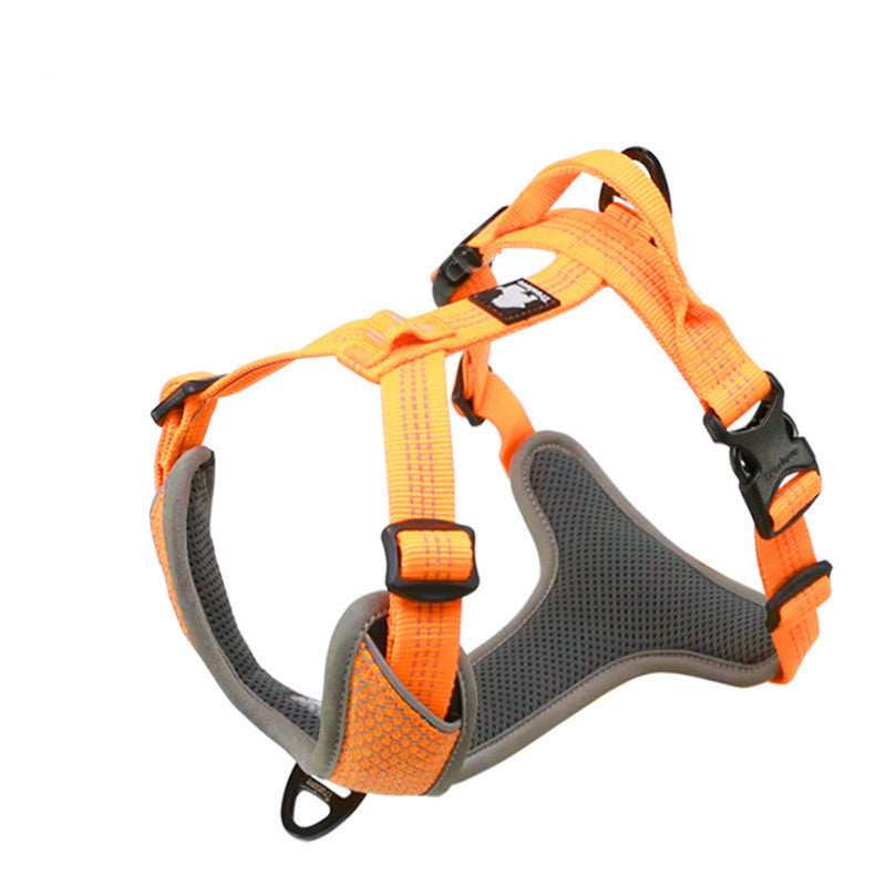 Pettorina Imbottita per Cani "Comfort Safe" - Dog Moda
