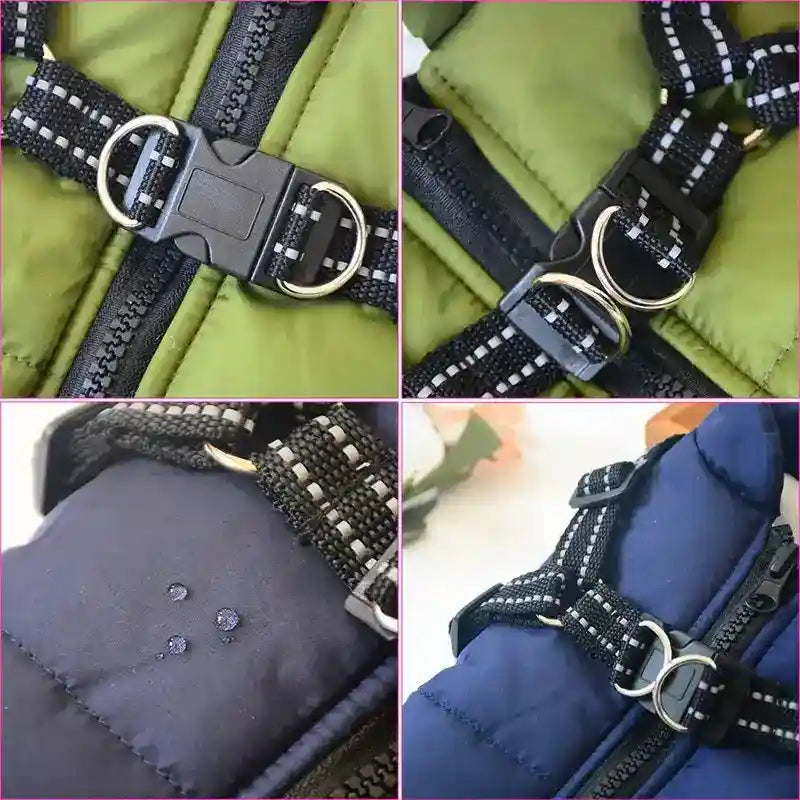 Cappotto Invernale per Cani Hall Star | Imbottito e Impermeabile by Dog Moda