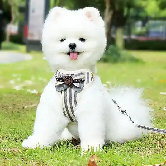 Pettorina Cane Gatto con Fiocco a Righe - XS S M L by Dog Moda