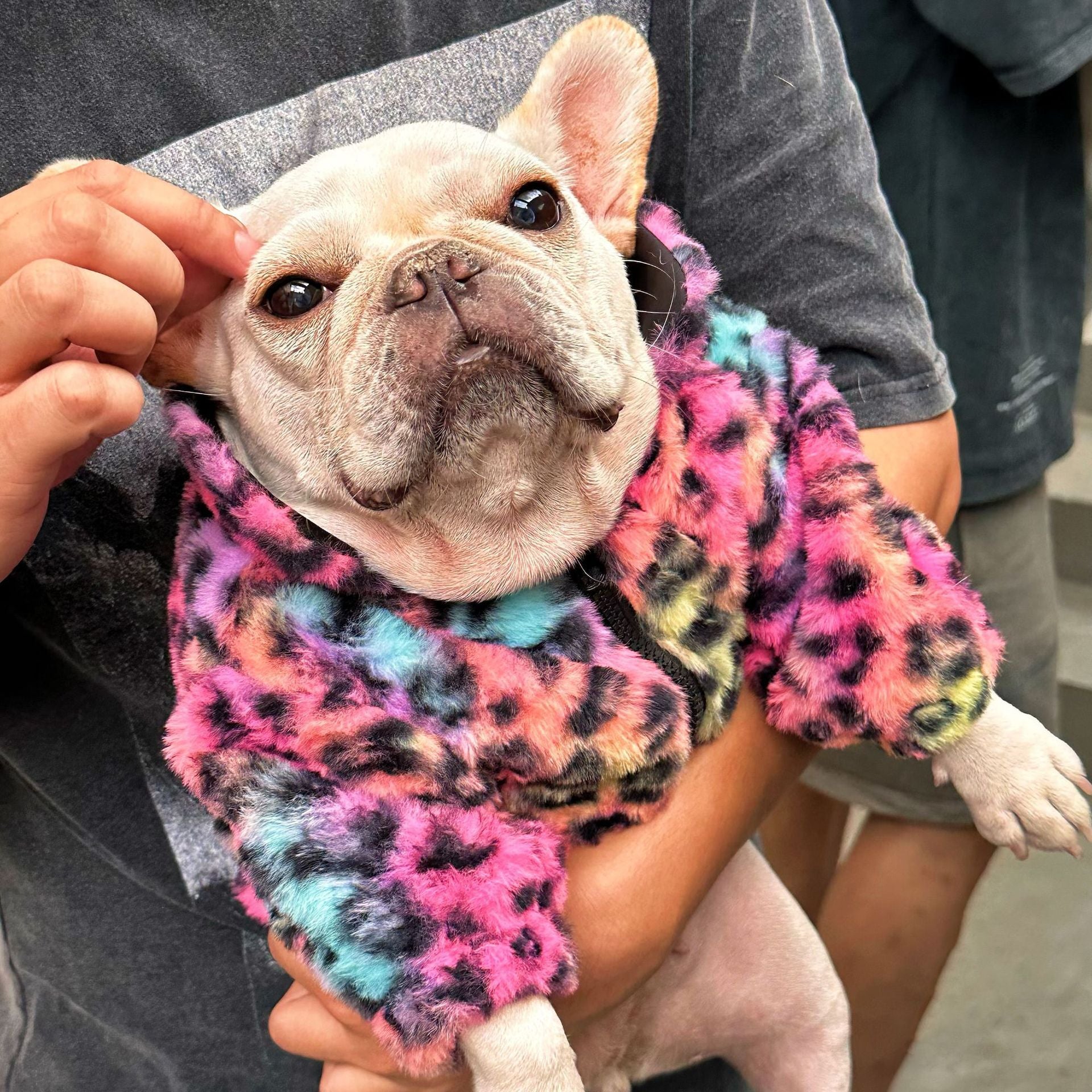 Multicolor Leopard Dog Coat - Velvet Abdomen Zip