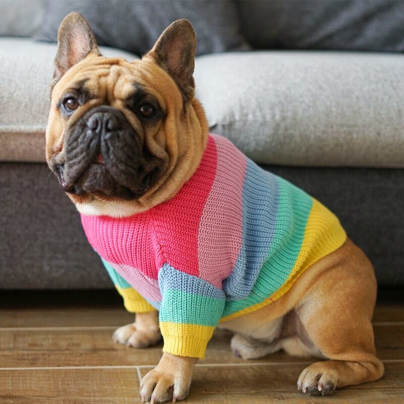 Dog Sweater "Rainbow" - Cheepet
